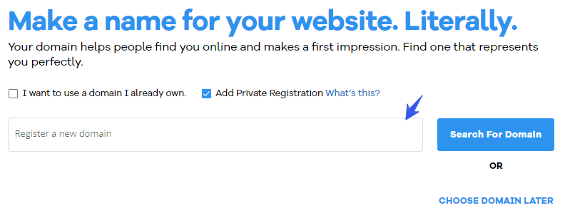 HostGator Domain Name